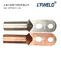 DT 2 holes Copper Terminal Cable Lug, Manufacture Copper Cable Lug Tinned Copper Lug Terminal DT Lug supplier